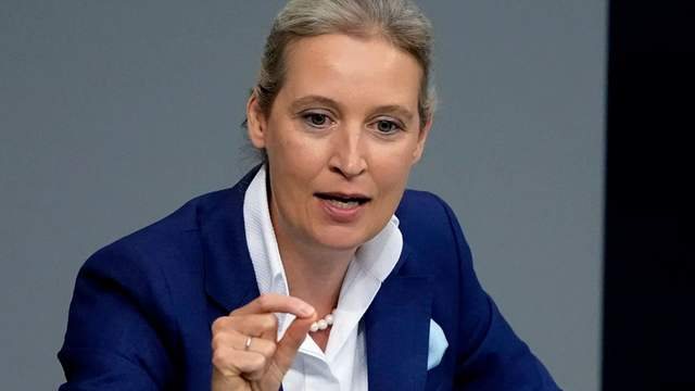 Лідерка АдН Вайдель обіцяє припинити допомогу Україні та скоротити виплати українцям