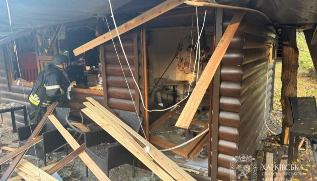 Удар дрона по парку на Харківщині: загинули шестеро людей, серед них діти