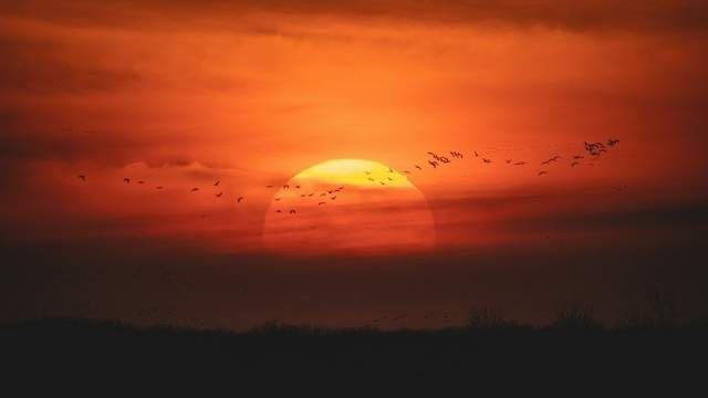 Магнітні бурі у серпні: вчені попереджають про нові геомагнітні збурення